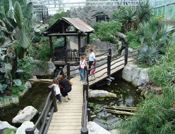 parc-merveilleux-animaux