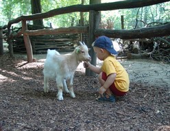 parc-merveilleux-mini-ferme