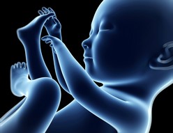 grossesse-7e-mois-mini