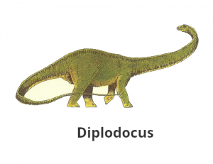 diplodocus