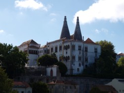 sintrapalacionational