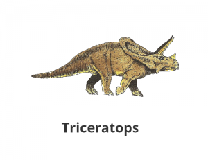 triceratops