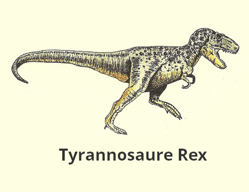 tyrannosaure