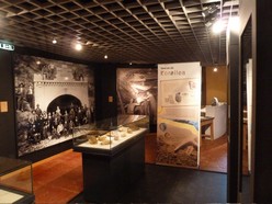 fonds-de-gras-expo-fossiles