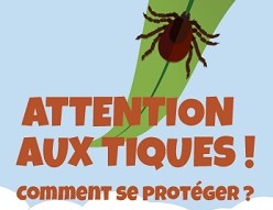 tiques-depliant-mini