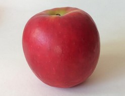 pomme-pink-lady
