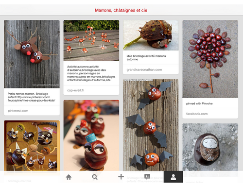 bricolages-marrons-et-chataignes