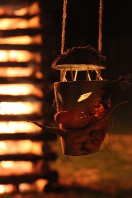 trauliicht-betterave-2