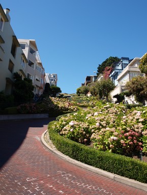 san-francisco-lombard-street