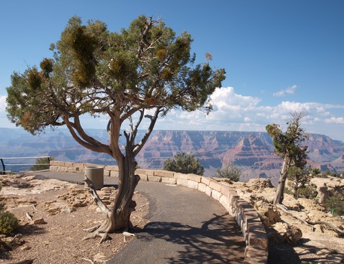 grand-canyon-1